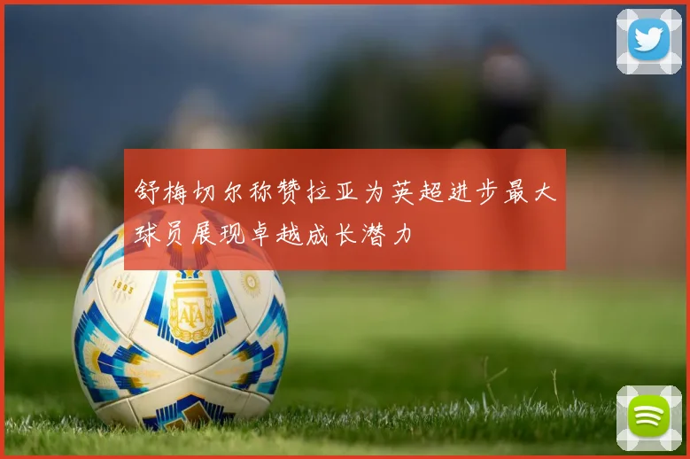 舒梅切尔称赞拉亚为英超进步最大球员展现卓越成长潜力